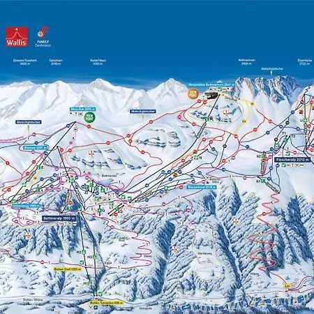 Dorothy Sunshine * Fiesch