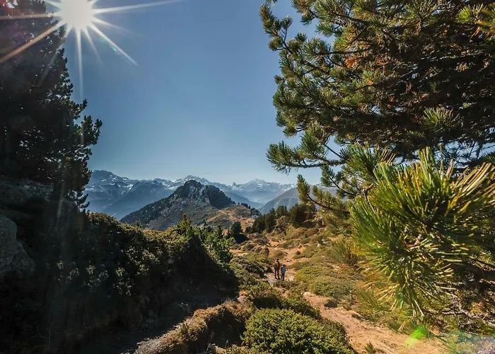 Apartmán Dorothy Sunshine *