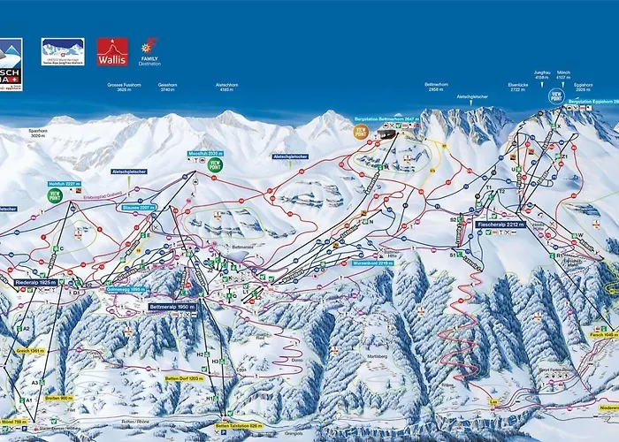 Dorothy Sunshine * Fiesch